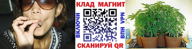 NBOMe Алексин