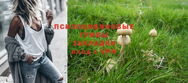 дмт Абаза