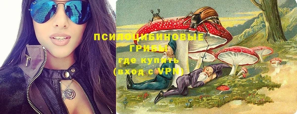 дмт Абаза