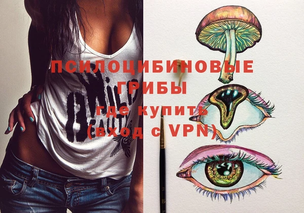 дмт Абаза