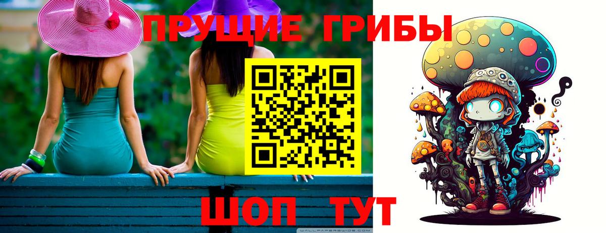 Псилоцибиновые грибы Psilocybine cubensis Алексин